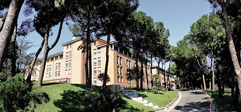 Università degli Studi Niccolò Cusano