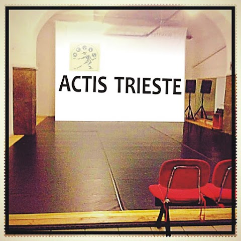 ACTIS Associazione Culturale Teatro Immagine Suono