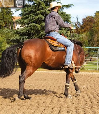 2A QUARTER HORSES A.S.D. Scuola di equitazione e pensione cavalli