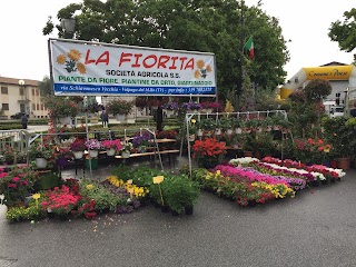 La Fiorita società agricola ss