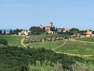 Tuscany Bike Tours