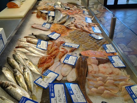 Pescheria Pescatori del Golfo