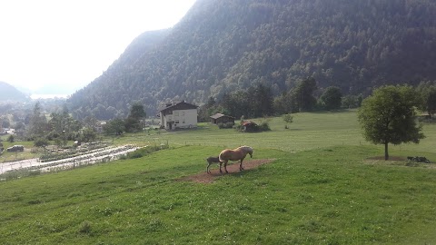 Famiglia Cooperativa Valle Di Ledro