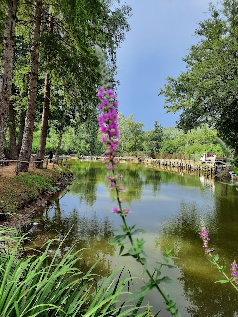 Lago Il Bimbo