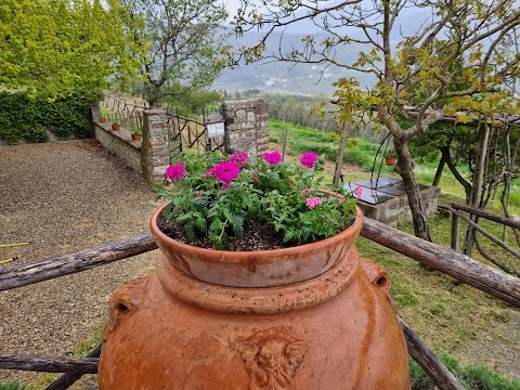 Agriturismo Poggio di Montepescoli