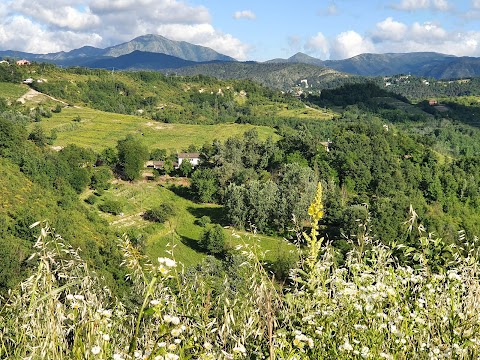 Agriturismo Il Burlino