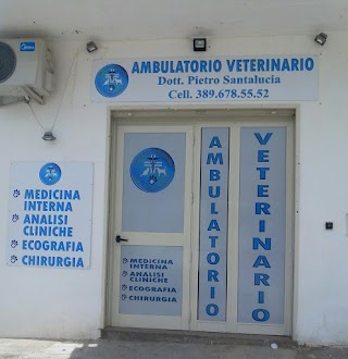 Ambulatorio Veterinario Dott. Pietro Santalucia