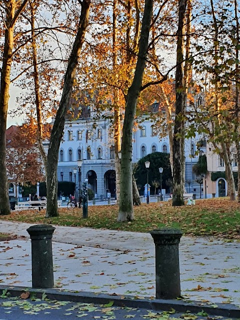 Università di Lubiana