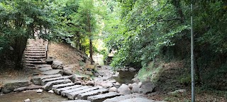 Centro visite Parco Nazionale delle foreste casentinesi, Monte Falterona e Campigna