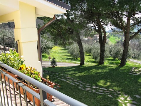 Paglia e Fieno b&b con maneggio