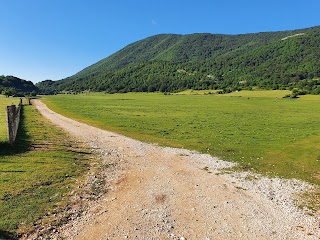 Il Campo