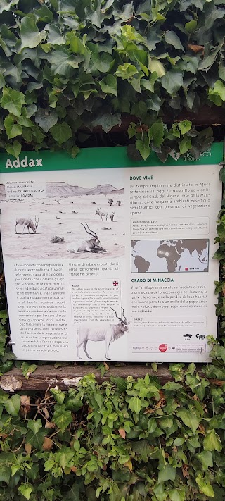 Recinto degli addax