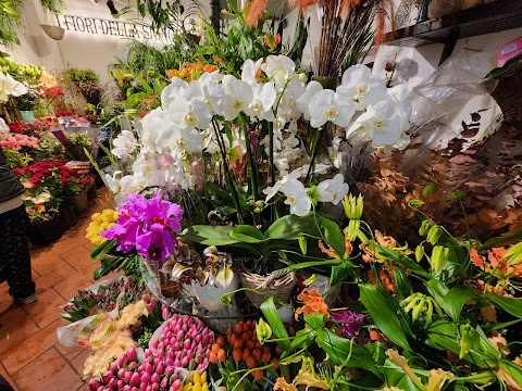 I fiori della signoria - piante, fiori ed erbe officinali