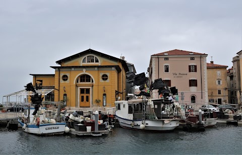 Teatro Tartini