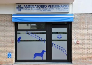 Ambulatorio Veterinario Benedetti - Tiretta e Lazzeri