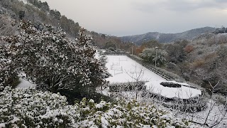 Tra il Verde e il Blu