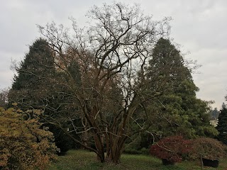 Pozzo - Vivai Piante e Fiori