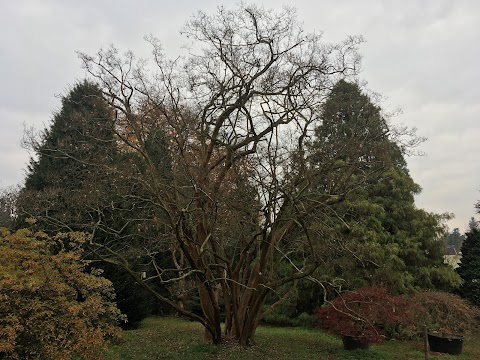 Pozzo - Vivai Piante e Fiori