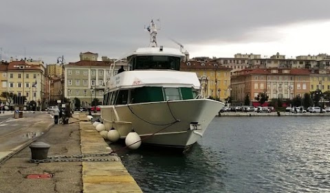 Delfino Verde Navigazione