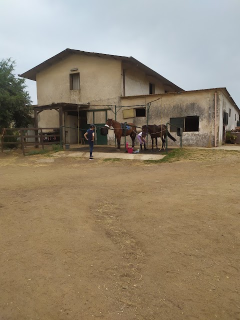 Centro Ippico San Giorgio ASD