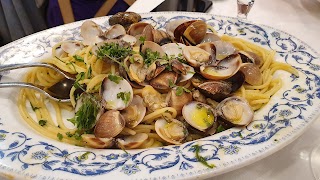 Il Delfino Ristorante Trattoria