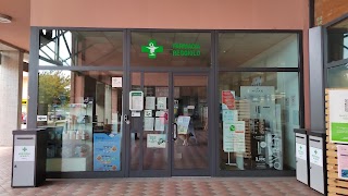 Farmacia Reggiolo Snc