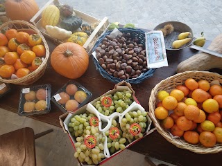 Frutta e Verdura di Elisabetta Zimolo