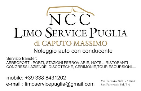 Limo Service Puglia noleggio con conducente NCC - TAXI