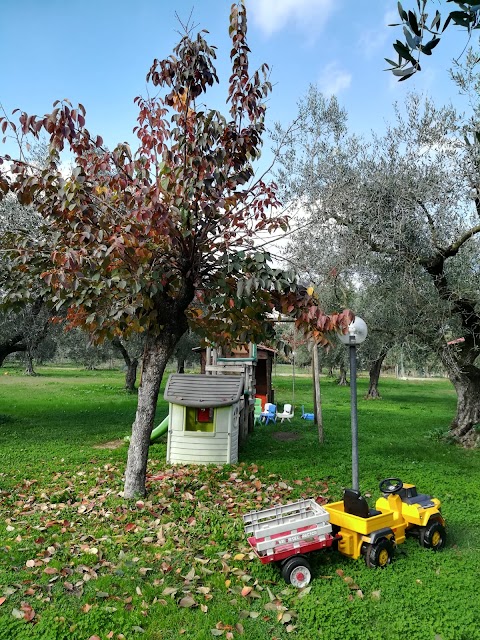 La Fattoria di Casacotta