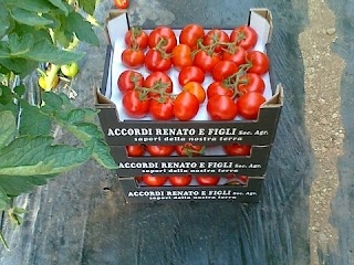 Azienda Agricola Accordi Renato e Figli