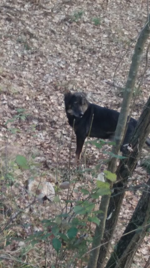 Mehanska obdelava kovin Denis Žitko s.p.