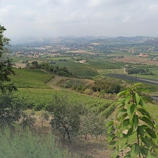 Tenuta Poggio Pollino