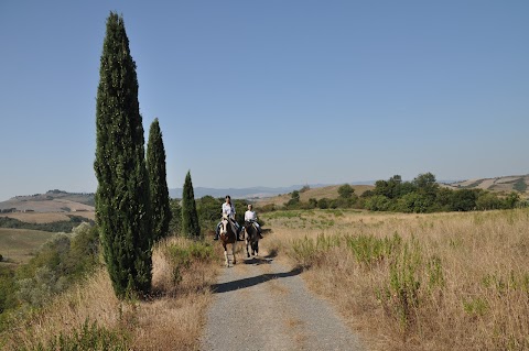 Maneggio RidingTuscany