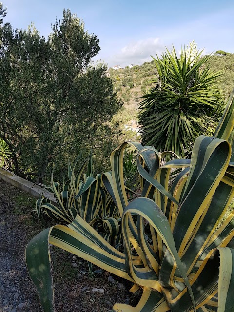 B&B L'antico Ulivo Celle Ligure