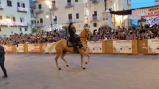 L`angolo della freschezza (Nicastro e Schifano Snc)