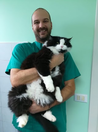 Ambulatorio Veterinario Rosà - Dr Alessandro Fior