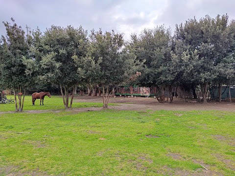 Parco della Quarantena