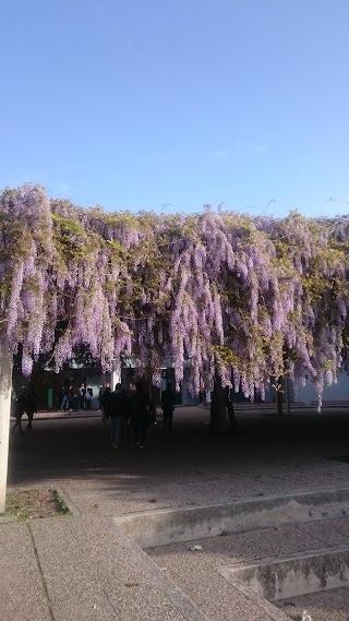 Liceo Calamandrei