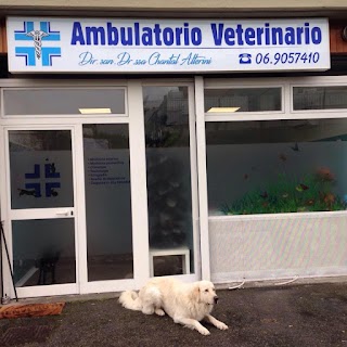 Ambulatorio Veterinario Fonte Nuova Dott.ssa Chantal Alterini