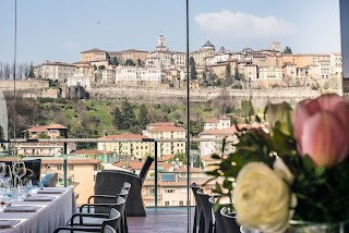 Roof Garden