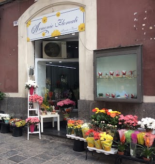 Armonie Floreali - Fiori a Domicilio