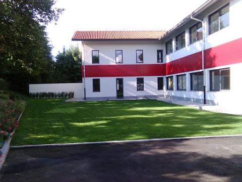 Centro Studi Synapsy