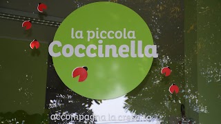 La Piccola Coccinella Srl