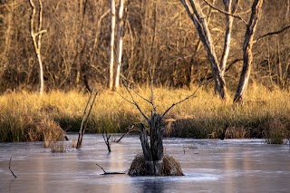 Il Lagone - Parco Naturale dei Lagoni di Mercurago