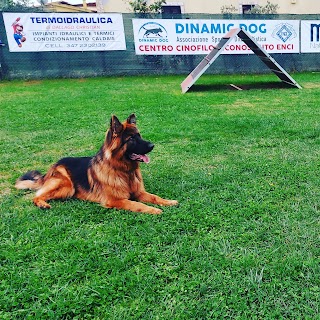 Scuola Addestramento Cani Centro Cinofilo Dinamic Dog A.S.D.