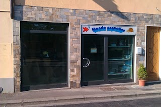 Mondo Acquatico