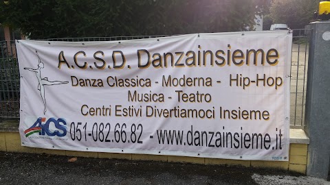 A. C. S. D. Danzainsieme