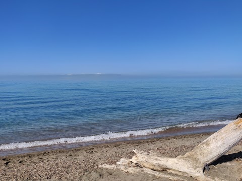 Oasi naturale delle saline