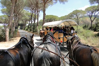 CEA - Centro di Educazione Ambientale, Riserva Litorale Romano