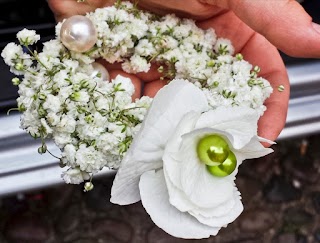 Rosa Blu. Fiori, oggettistica e idee regalo